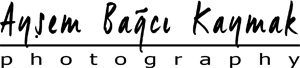 Ayşem Bağcı Kaymak Logo